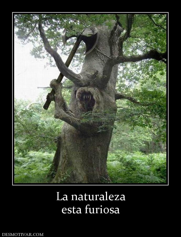 La naturaleza esta furiosa