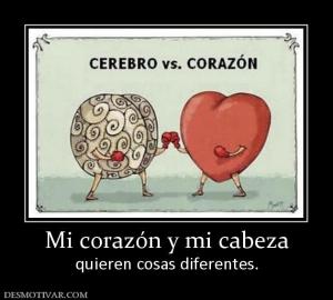Mi corazón y mi cabeza quieren cosas diferentes.