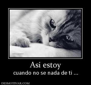 Asi estoy cuando no se nada de ti ...