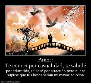 Amor: Te conocí por casualidad, te saludé  por educación, te besé por atracción pero nunca supuse que tus besos serían mi mayor adicción