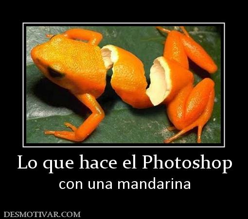 Lo que hace el Photoshop con una mandarina