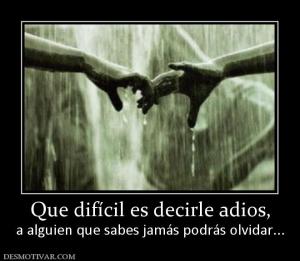 Que difícil es decirle adios, a alguien que sabes jamás podrás olvidar...