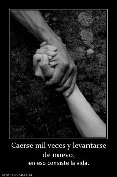 Caerse mil veces y levantarse de nuevo,  en eso consiste la vida.