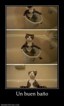 Un buen baño