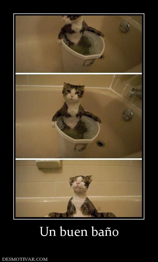 Un buen baño