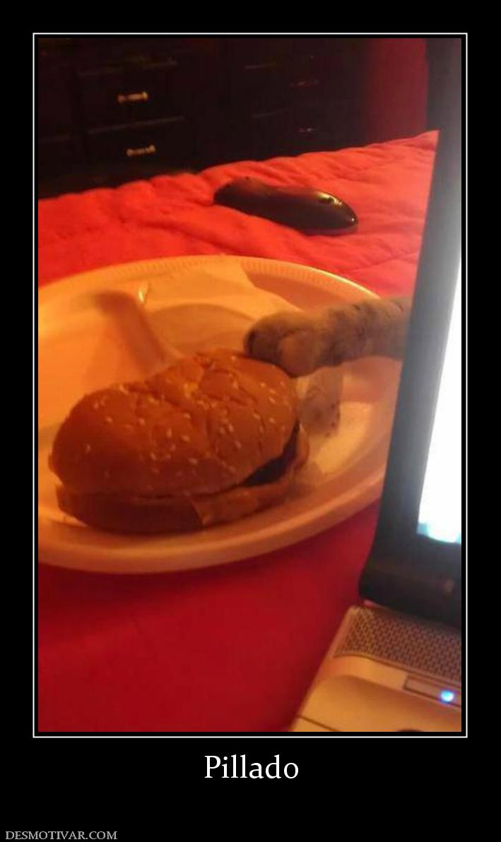 Pillado