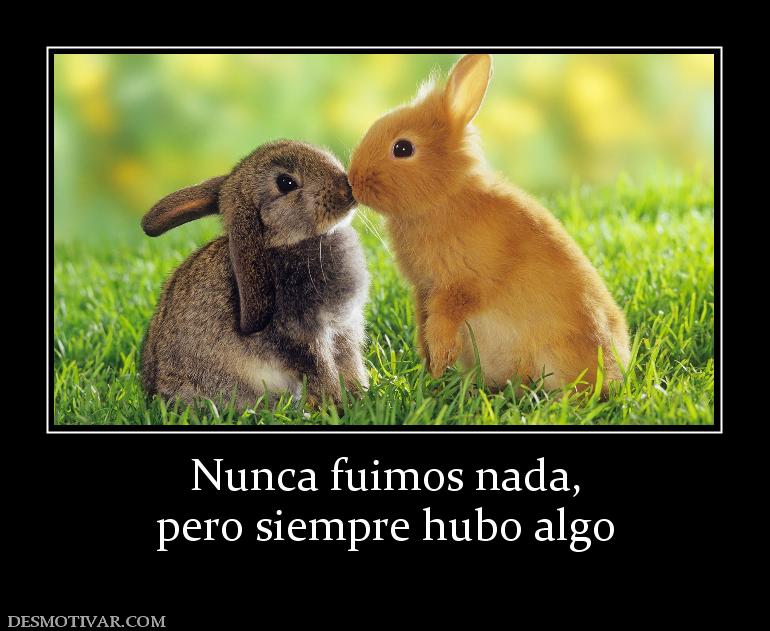 Nunca fuimos nada, pero siempre hubo algo