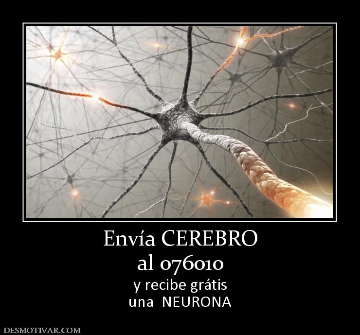 Envía CEREBRO al 076010 y recibe grátis una  NEURONA