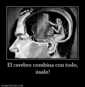 El cerebro combina con todo, úsalo!