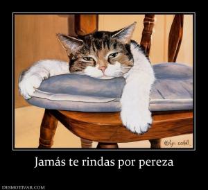 Jamás te rindas por pereza