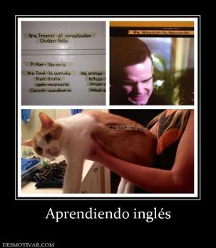 Aprendiendo inglés