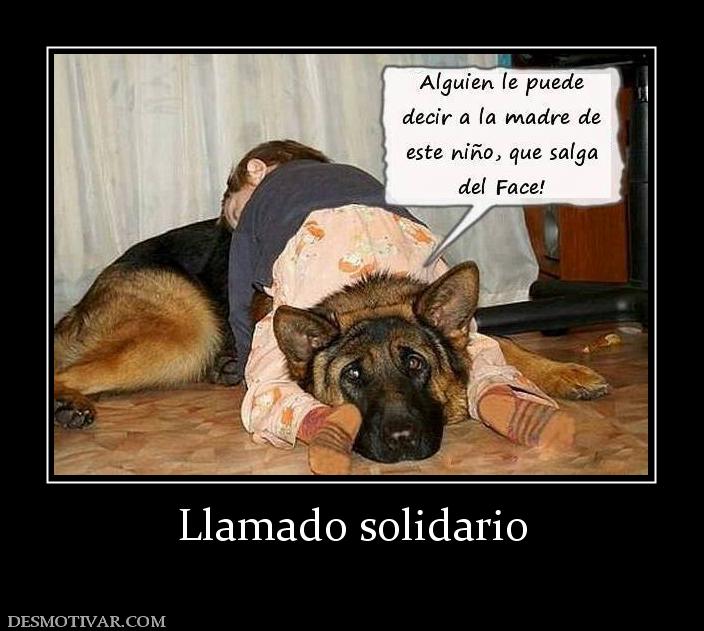 Llamado solidario