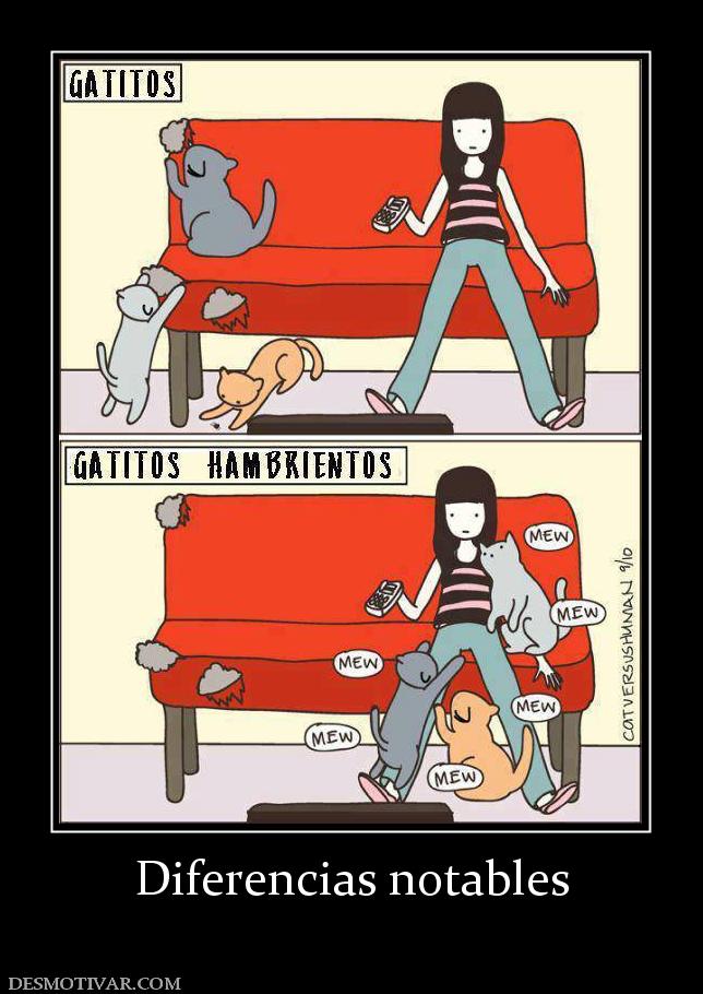 Diferencias notables