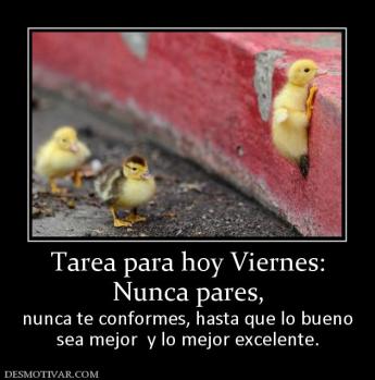 Tarea para hoy Viernes: Nunca pares,  nunca te conformes, hasta que lo bueno sea mejor  y lo mejor excelente.