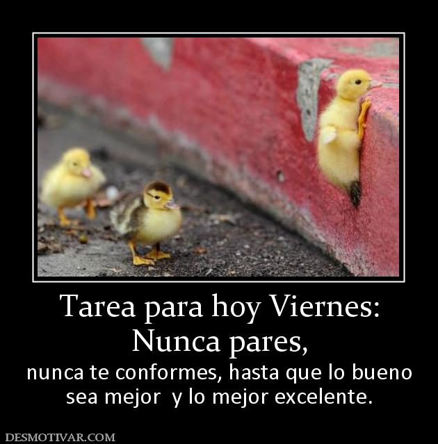 Image result for tareas para el viernes