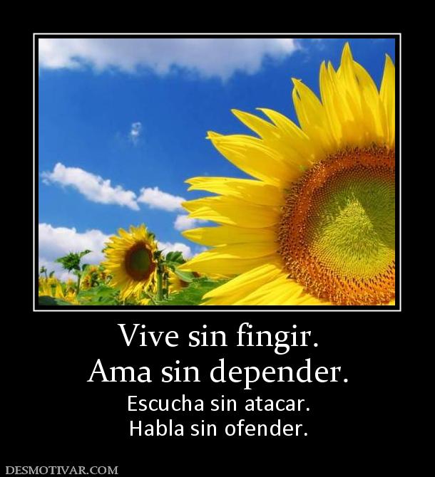 Vive sin fingir. Ama sin depender. Escucha sin atacar. Habla sin ofender.