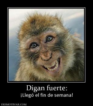 Digan fuerte: ¡Llegó el fin de semana!