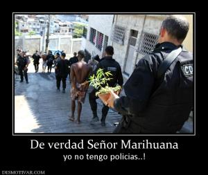 De verdad Señor Marihuana yo no tengo policias..!
