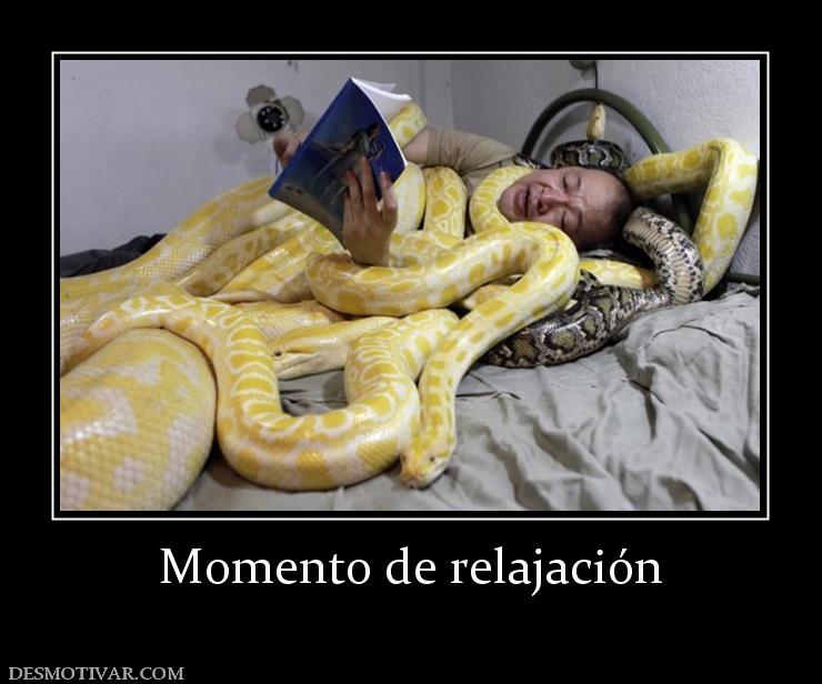 Momento de relajación