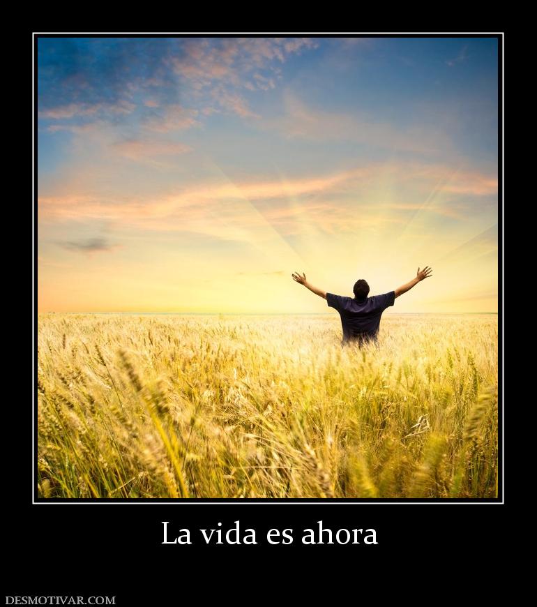 La vida es ahora