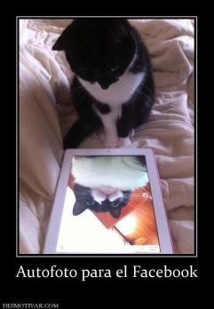 Autofoto para el Facebook