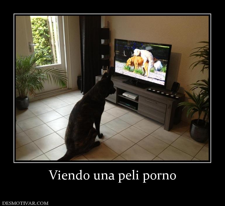 Viendo una peli porno