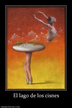 El lago de los cisnes