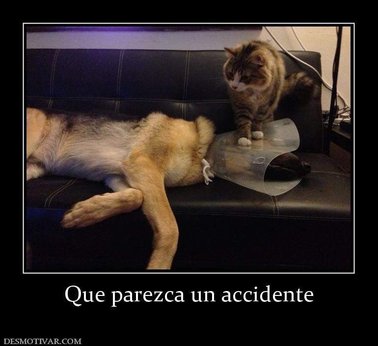 Que parezca un accidente