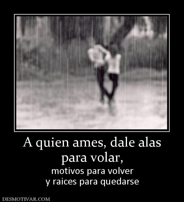 A quien ames, dale alas para volar,  motivos para volver y raices para quedarse