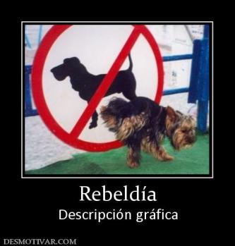Rebeldía Descripción gráfica