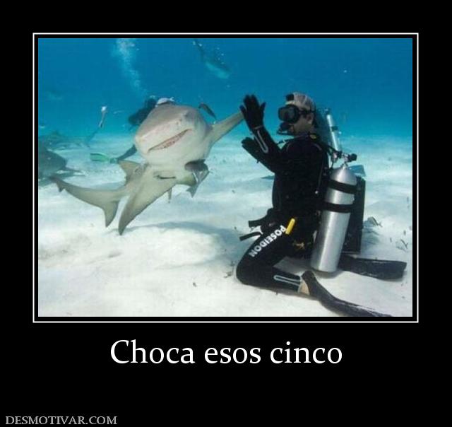 Choca esos cinco