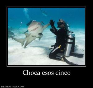 Choca esos cinco
