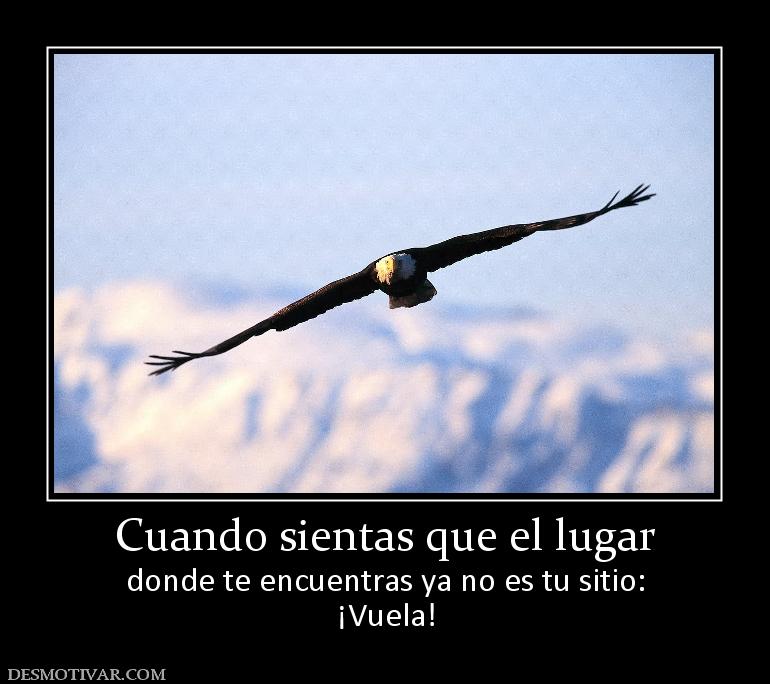 Cuando sientas que el lugar donde te encuentras ya no es tu sitio: ¡Vuela!