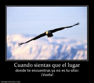 Cuando sientas que el lugar donde te encuentras ya no es tu sitio: ¡Vuela!
