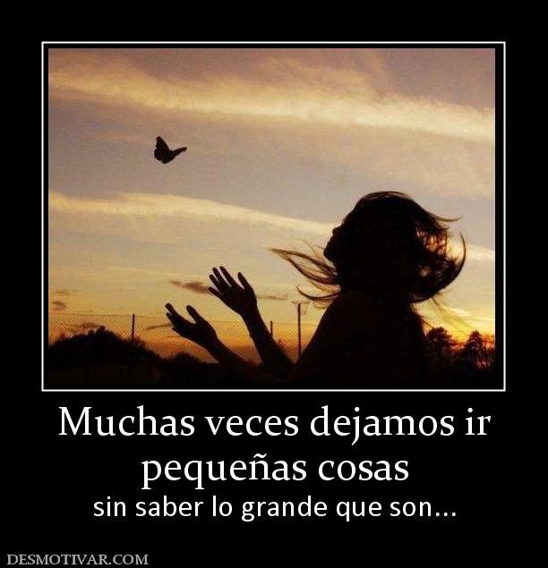Muchas veces dejamos ir pequeñas cosas sin saber lo grande que son...