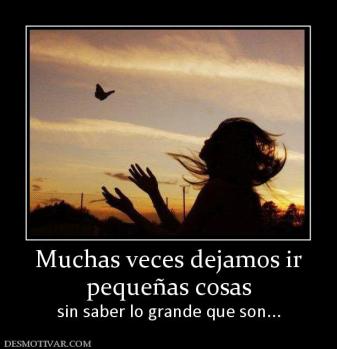 Muchas veces dejamos ir pequeñas cosas sin saber lo grande que son...