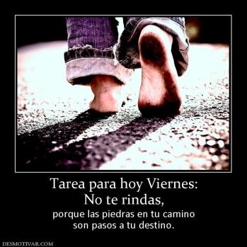 Tarea para hoy Viernes: No te rindas, porque las piedras en tu camino son pasos a tu destino.