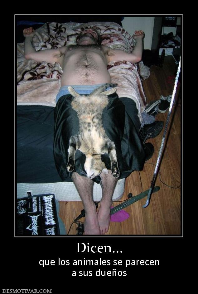 Dicen... que los animales se parecen a sus dueños