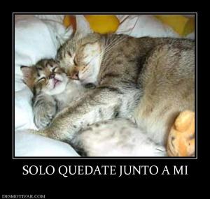 SOLO QUEDATE JUNTO A MI
