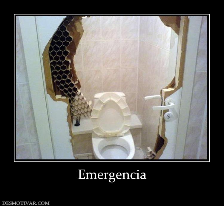 Emergencia