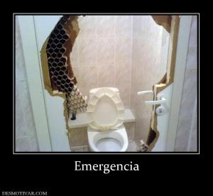 Emergencia