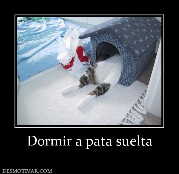Dormir a pata suelta