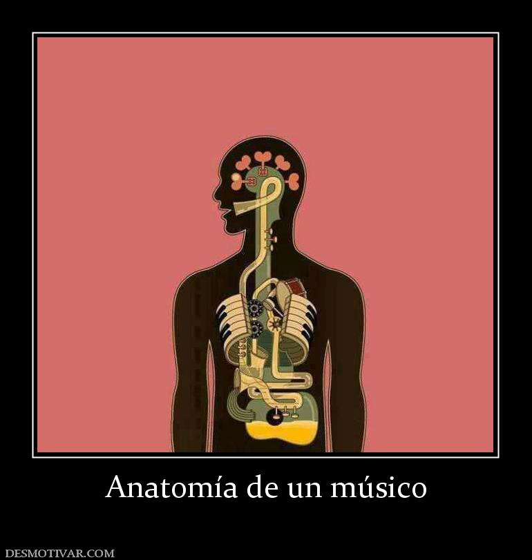 Anatomía de un músico