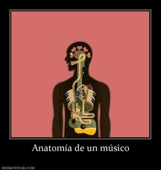 Anatomía de un músico