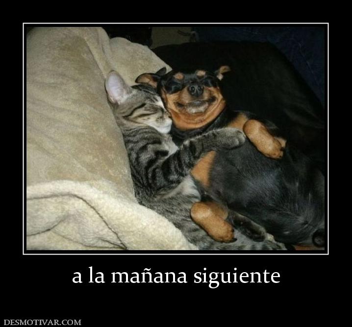 a la mañana siguiente