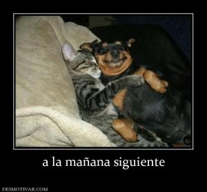 a la mañana siguiente