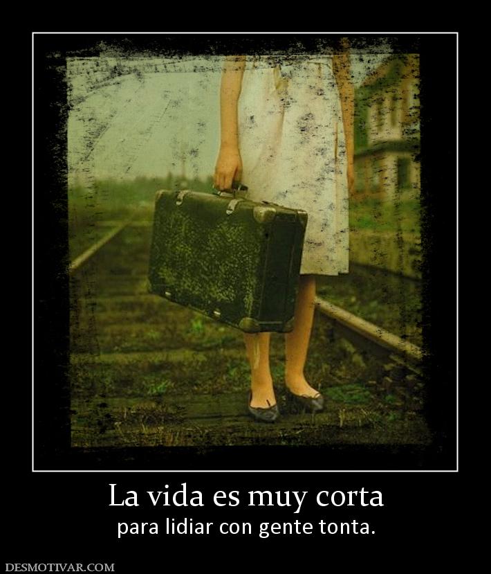 La vida es muy corta para lidiar con gente tonta.