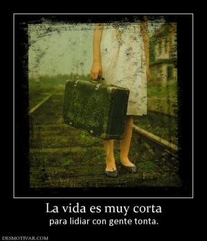 La vida es muy corta para lidiar con gente tonta.