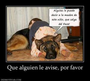 Que alguien le avise, por favor