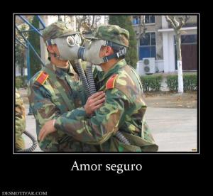 Amor seguro